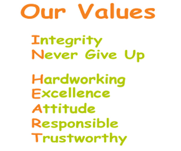 our values 600
